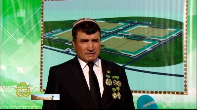Строительство современной конюшни смотреть онлайн