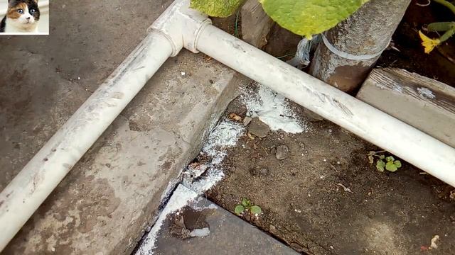 Как избавиться от муравьев на участке. Народное средство за копейки смотреть онлайн