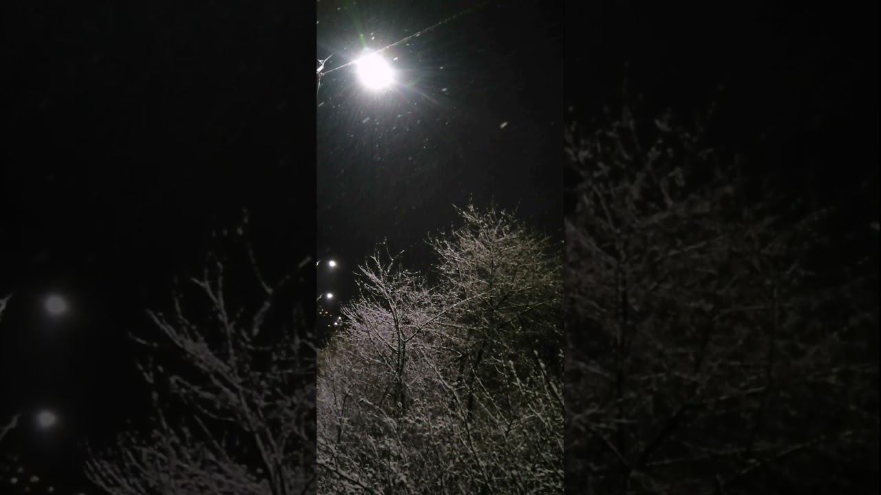 На белом-белом покрывале ноября ~✨❄️❄️✨~ (аудио Kamazz, видео Taielle) смотреть онлайн