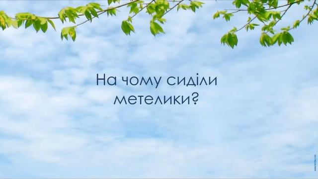 В.Сухомлинський. Казка " Два метелика" смотреть онлайн