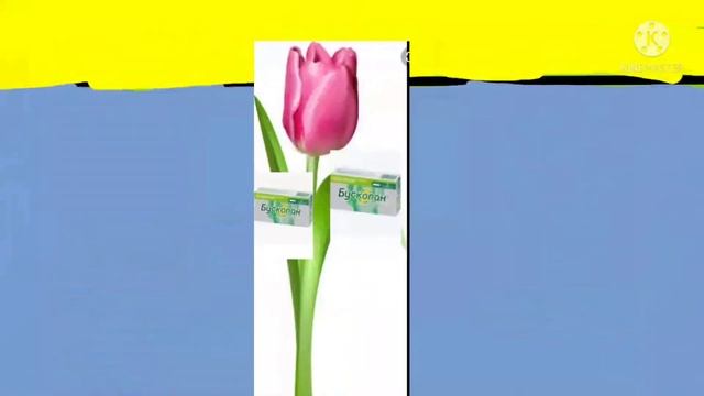 Ток Знаток Тюльпан Бускопан смотреть онлайн