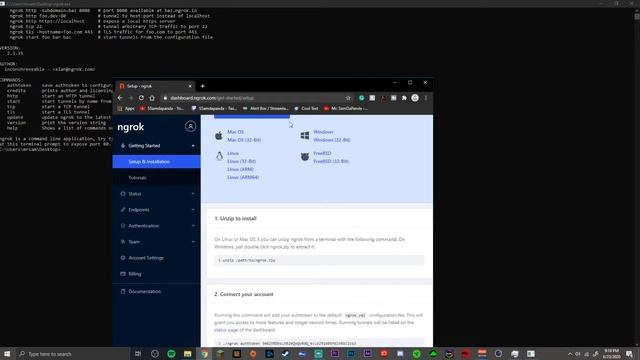 How To Make A 1.16 Minecraft Server With Friends (Ngrok)