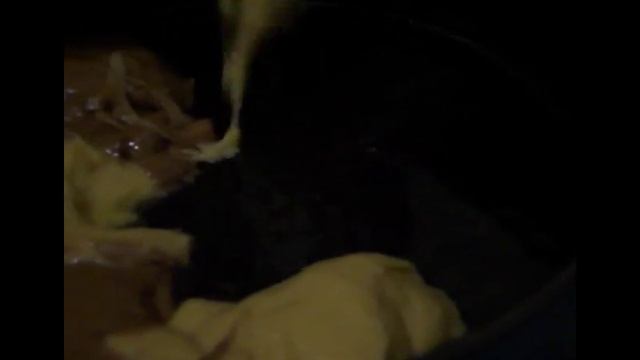 пирог зебра смотреть онлайн