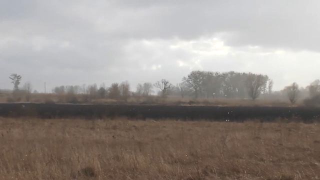 Весенний снегопад на 40 святых [ZEFEAR - Святий] (22.03.2021) смотреть онлайн