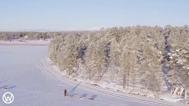 Husky Safari in Muonio, Finnish Lapland смотреть онлайн