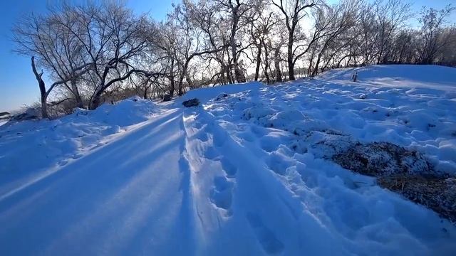 Почему нам не нужен трактор в деревне. Поение быков зимой на улице. Как кормим маленьких телят. смотреть онлайн