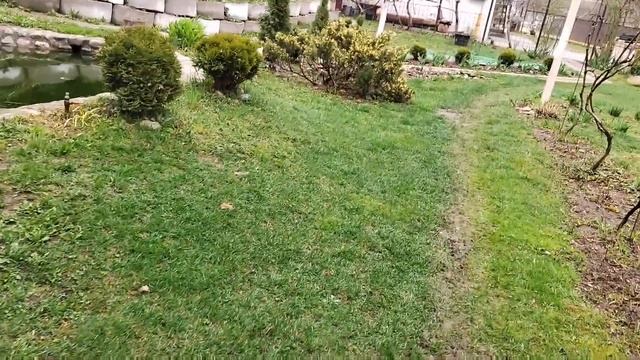 Все рады весне. Куры молодки подрастают, утки сидят, ждём пополнения. Кролики растут. смотреть онлайн