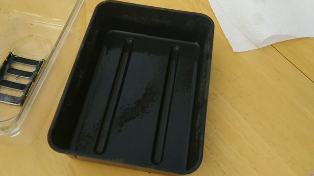 How to sow Mimosa Pudica (Sensitive Plant) смотреть онлайн