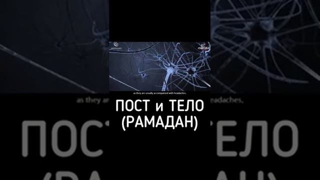 Польза Рамадана . Пост и Тело (Рамадан) смотреть онлайн
