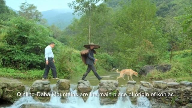 Qingling Moutain——The home of Great Panda and Newdles смотреть онлайн