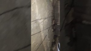 Котёл VEKA 20 кВт. Работа котла на отсеве с горбылем.