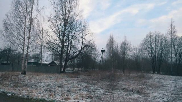 Аисты.Псковская область. смотреть онлайн