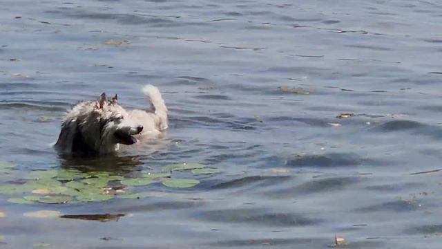 Yukki & Dad [7/23/23] - Medicine Lake смотреть онлайн