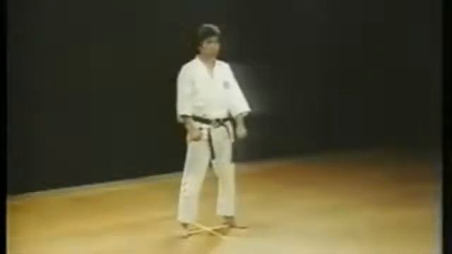 Shotokan Karate, Kata Heian Nidan - Kanazawa Hirokazu смотреть онлайн