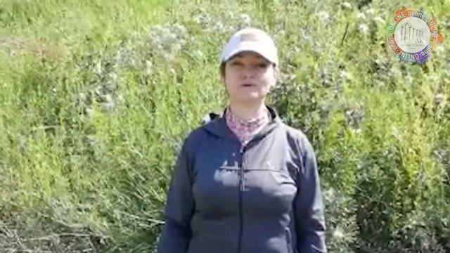 Тверь принимает поздравления. Выпукс 3 смотреть онлайн