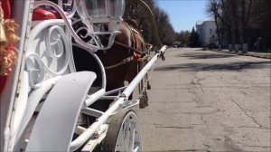 Прогулка в Центре на Карете 8 мая 2022 г ⛲