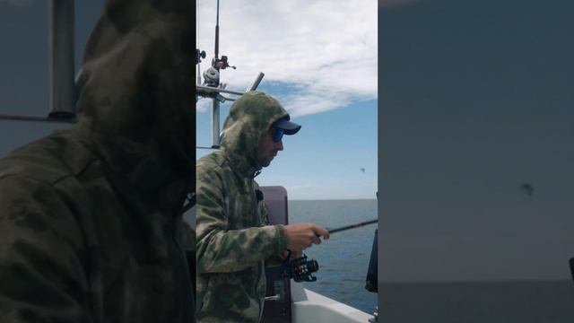 Ловля СТРАННЫХ и УЖАСНЫХ рыб в Японском море! Ссылка в описании и 1 комментарии смотреть онлайн