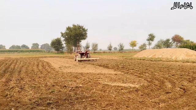 Village Desi Girl Tractor Driver | Village life vlog смотреть онлайн