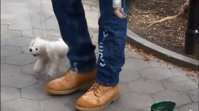КУКОЛЬНЫЙ ДЕД 3+ собачка . ( МАРИОНЕТКИ) ! смотреть онлайн