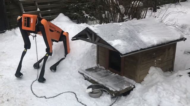Big dog spot robot. homemade robot dog do it yourself смотреть онлайн