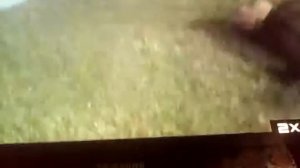 Дураки на воде