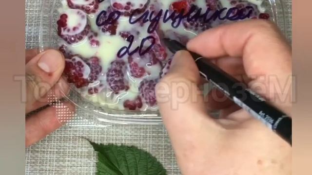 Малина со сгущенкой на зиму??❄️? смотреть онлайн