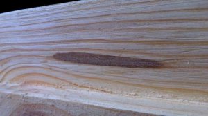 Шпаклёвка по дереву своими руками. Крепче не бывает.