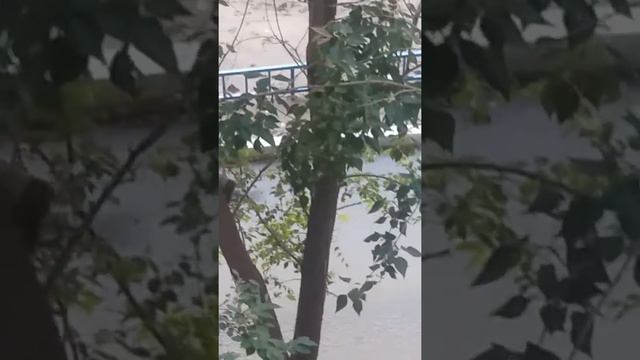 Такое ни везде увидешь смотреть до конца смотреть онлайн