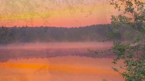 Река любви Наталия Бучинская и Михаил Поплавский Автор видео Нина Рудакова