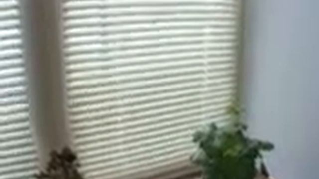 Пластиковые окна Воткинск Хорса данке 2.wmv смотреть онлайн