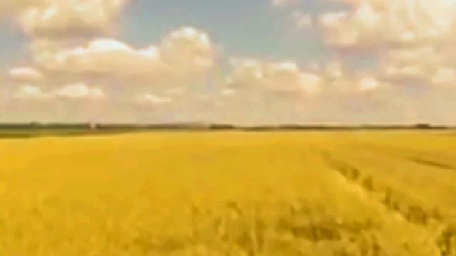 "Последний шмель." Поет Леонид Михельсон (Ариэль, Израиль). смотреть онлайн