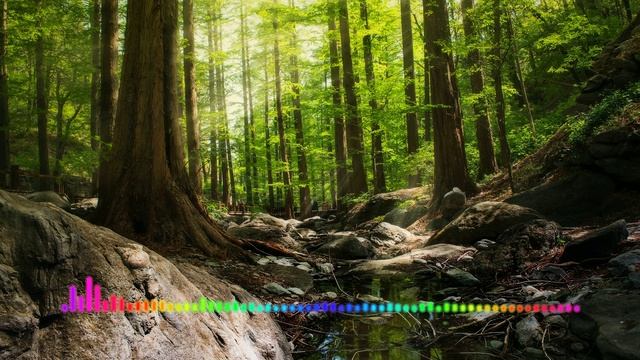 Али Саидов - Доза 2023