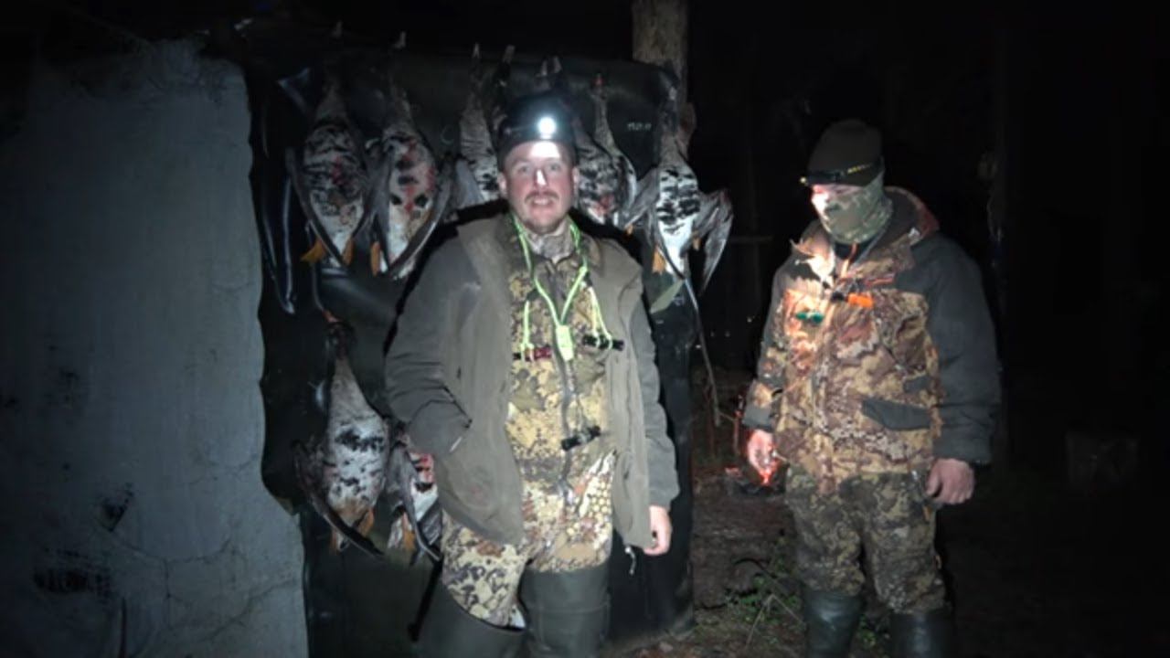 Охота на гуся вечером на болотах #25.2 / Вся охота 12 минут смотреть онлайн