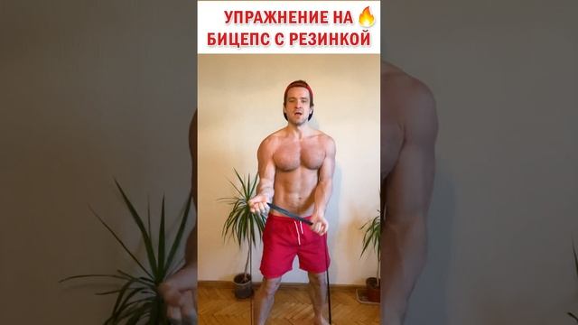 ? Упражнение на бицепс с фитнес резинкой ? Тренировка дома или в зале #знаюиделаю #фитнес #зож смотреть онлайн