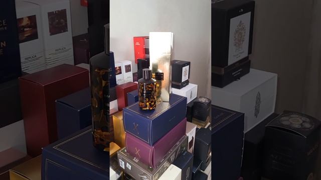 Mancera WILD LEATHER, If You Like going out to BARS ?, LAST 12HR, This is Something you should SEE смотреть онлайн