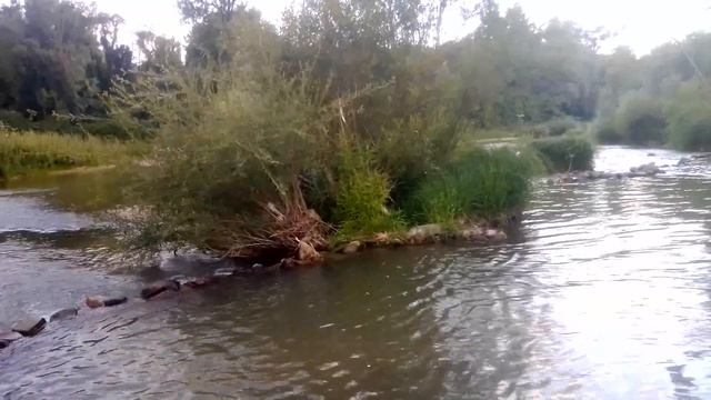 Річка Уж ПЕРЕЧИН / Река Уж ПЕРЕЧИН смотреть онлайн