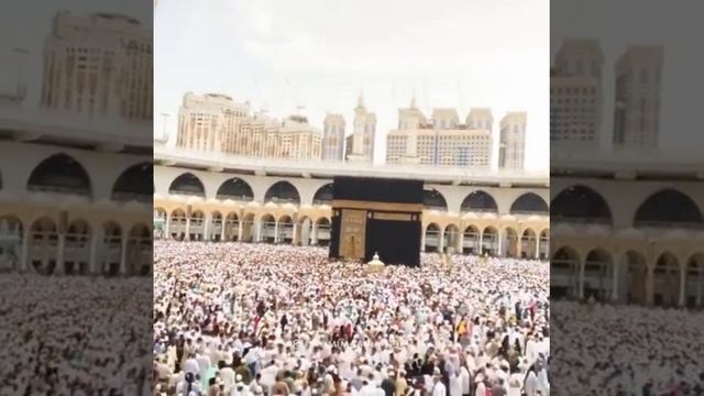 Ислам Махачев поздравляет с Ураза Байрам смотреть онлайн