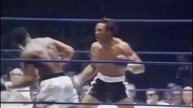 Мухаммед Али порхай как бабочка смотреть онлайн