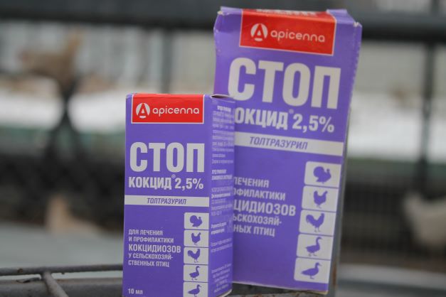 ХОЧЕШЬ, ЧТО БЫ ТВОИ КУРЫ БЫЛИ ЗДОРОВЫ? ТОГДА СМОТРИ ЭТОТ РОЛИК И ДЕЙСТВУЙ. смотреть онлайн