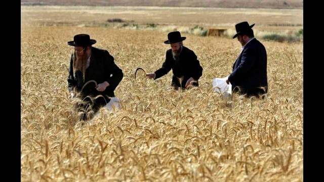 Александр Черный 