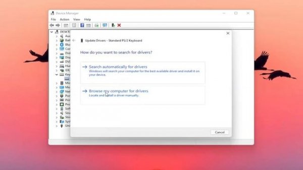 How to Fix This Device Cannot Start. (Code 10) Error In Windows 11