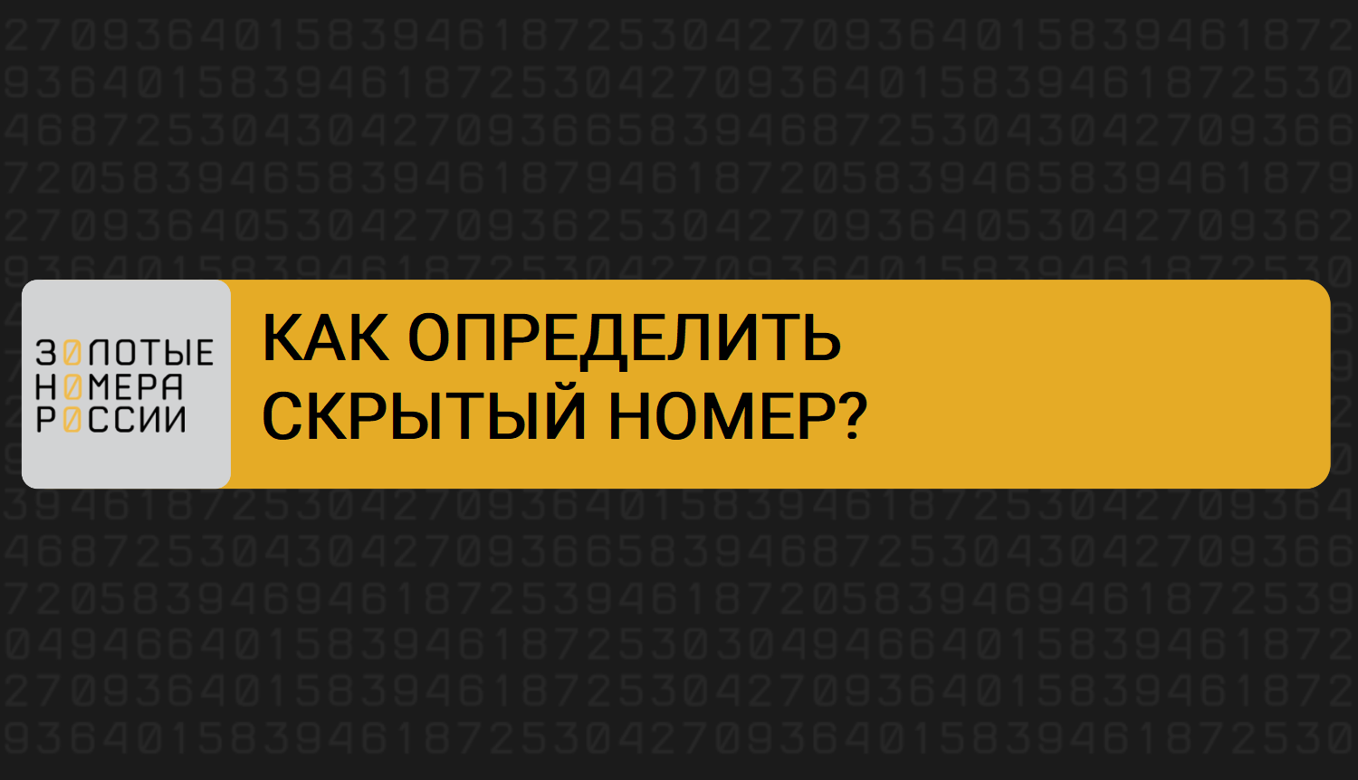 Как определить скрытый номер смотреть онлайн