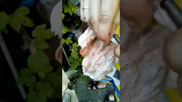 Ремонт форсунок ДЕЛФИ.часть 8.замена клапана. смотреть онлайн