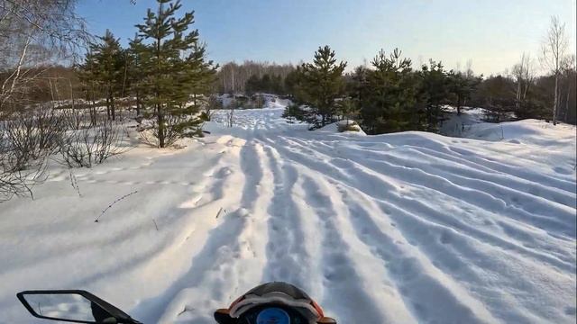Альфа зимой в лесу смотреть онлайн