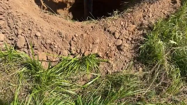 Продолжение стрима