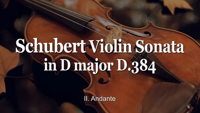 Schubert Violin Sonatina in D major D.384 | Johanna Martzy-Violin | Jean Antonietti-Piano смотреть онлайн
