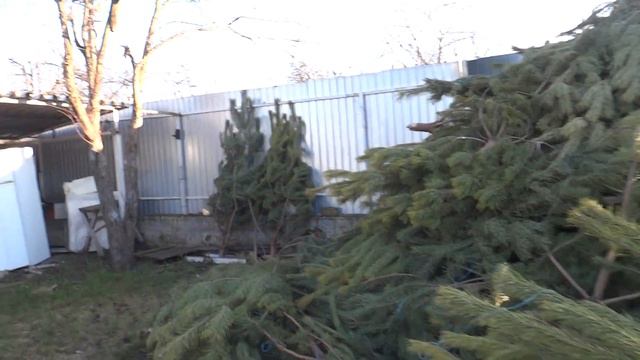 600 ёлок на Новый Год в одном дворе смотреть онлайн