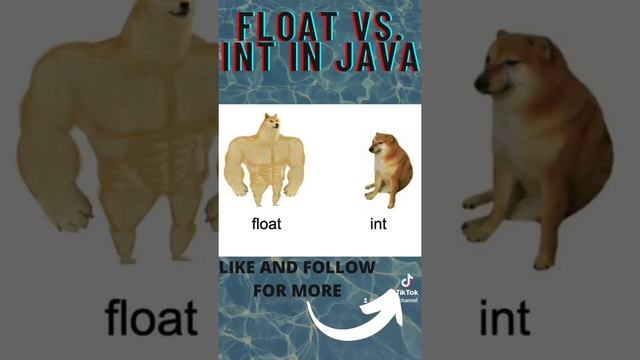 Float vs int in java. #java #tutorial #float #int #shibainu #doge #meme смотреть онлайн