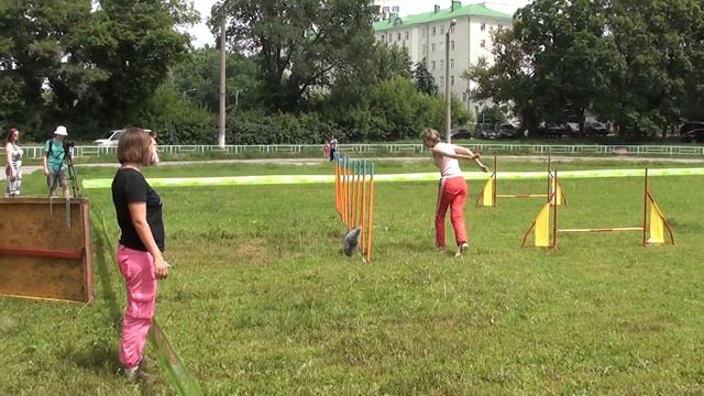 Самохвалова Юлия и к.пудель Ekstrimal`noe uvlechenie. А2 джампинг смотреть онлайн