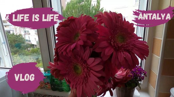 Vlog: Жизнь в эмиграции